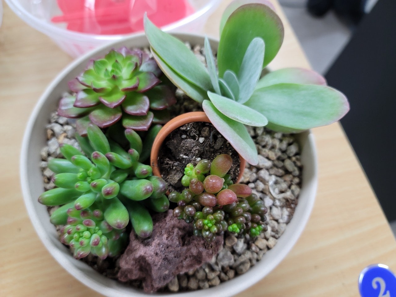 사용자가 올린 이미지