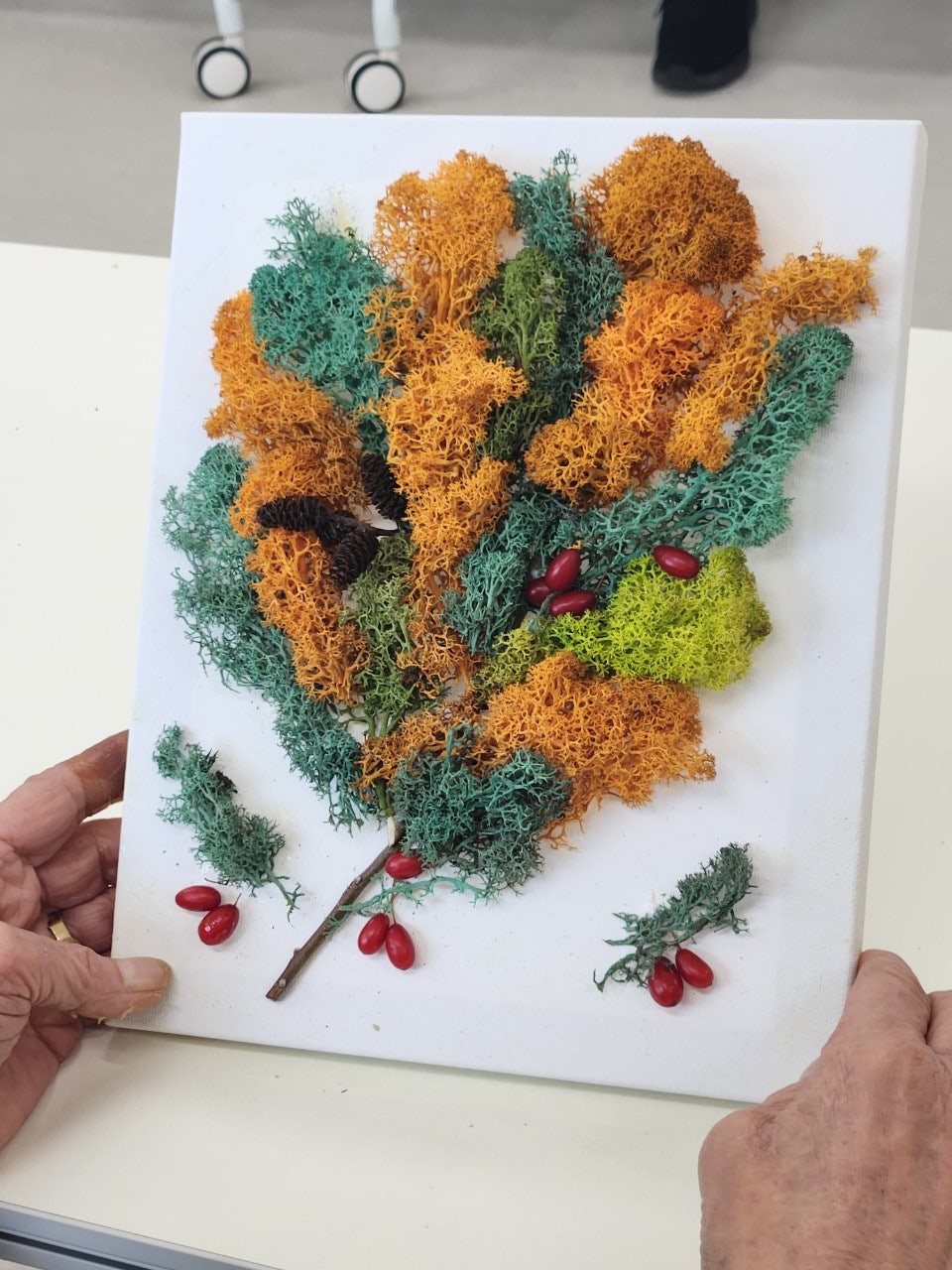 사용자가 올린 이미지