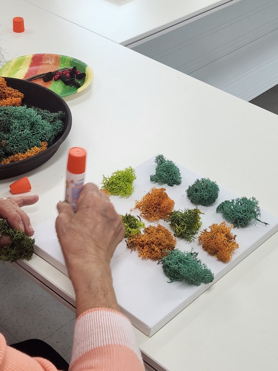 사용자가 올린 이미지