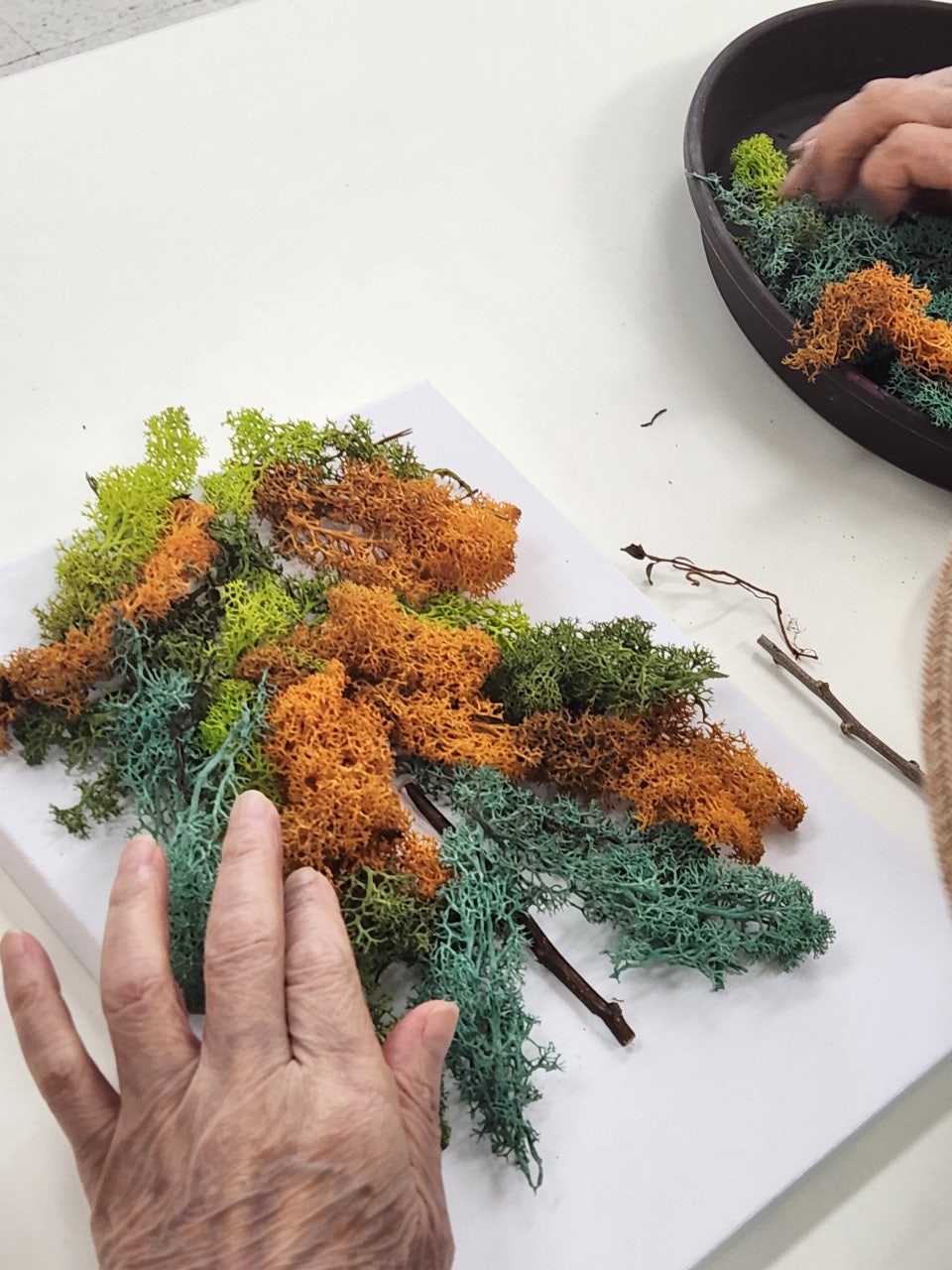 사용자가 올린 이미지