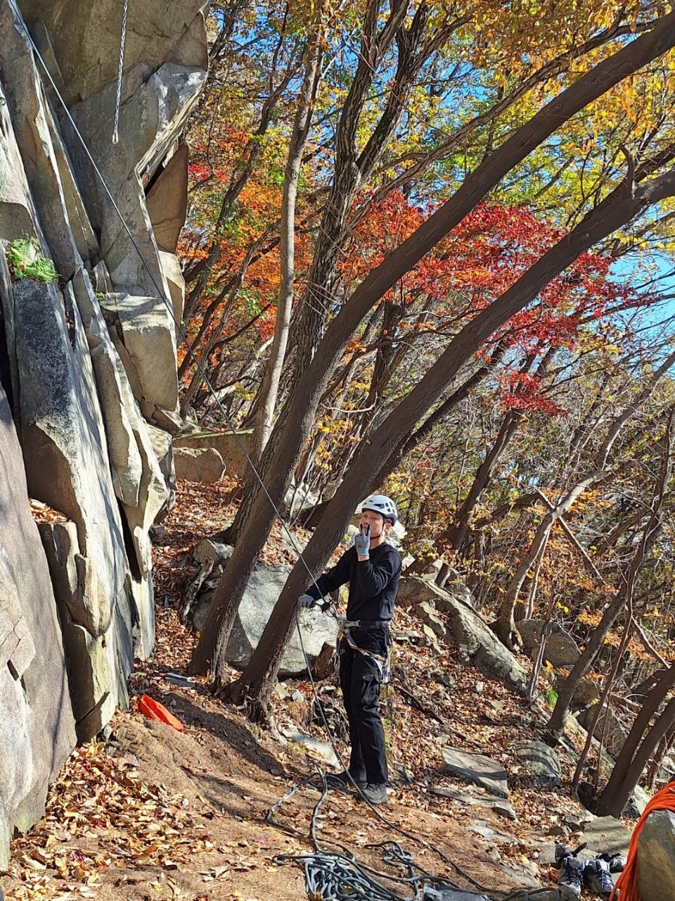 사용자가 올린 이미지