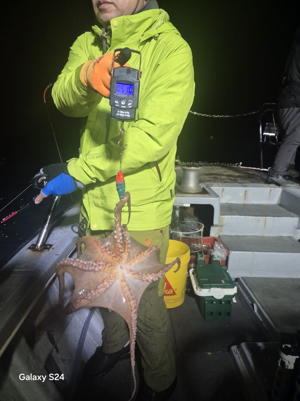 사용자가 올린 이미지