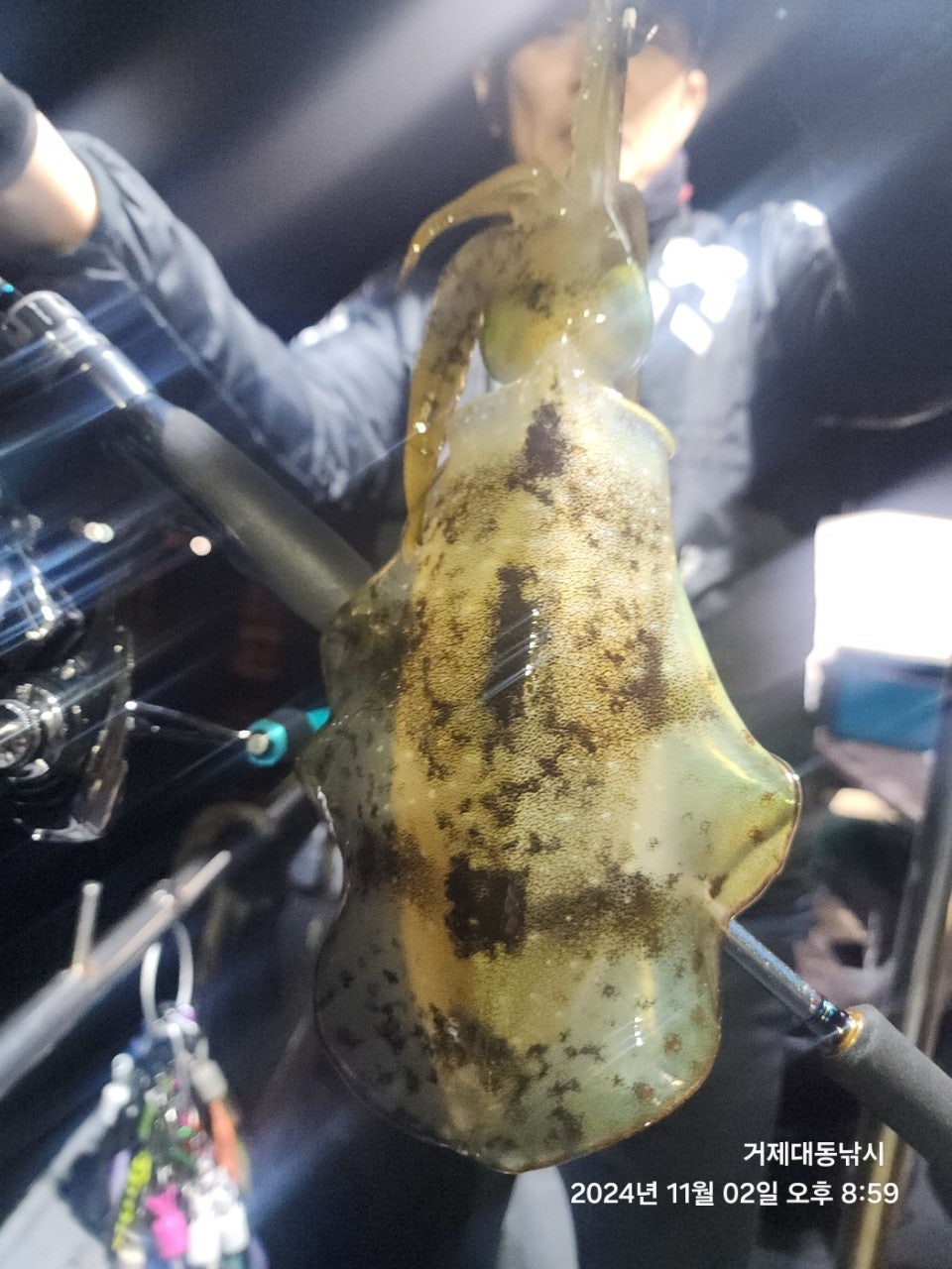 사용자가 올린 이미지