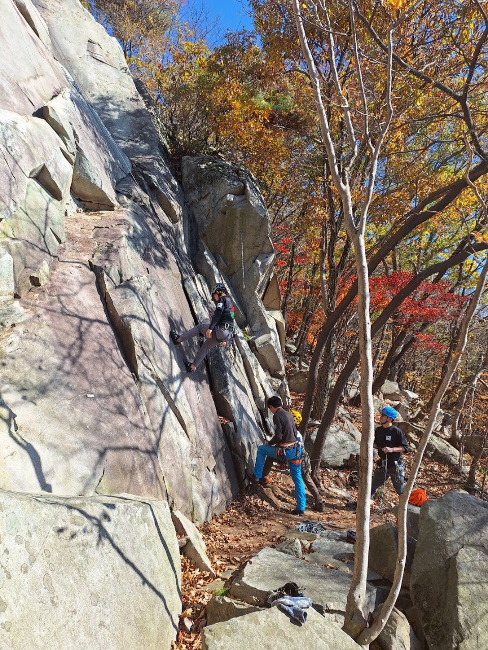 사용자가 올린 이미지