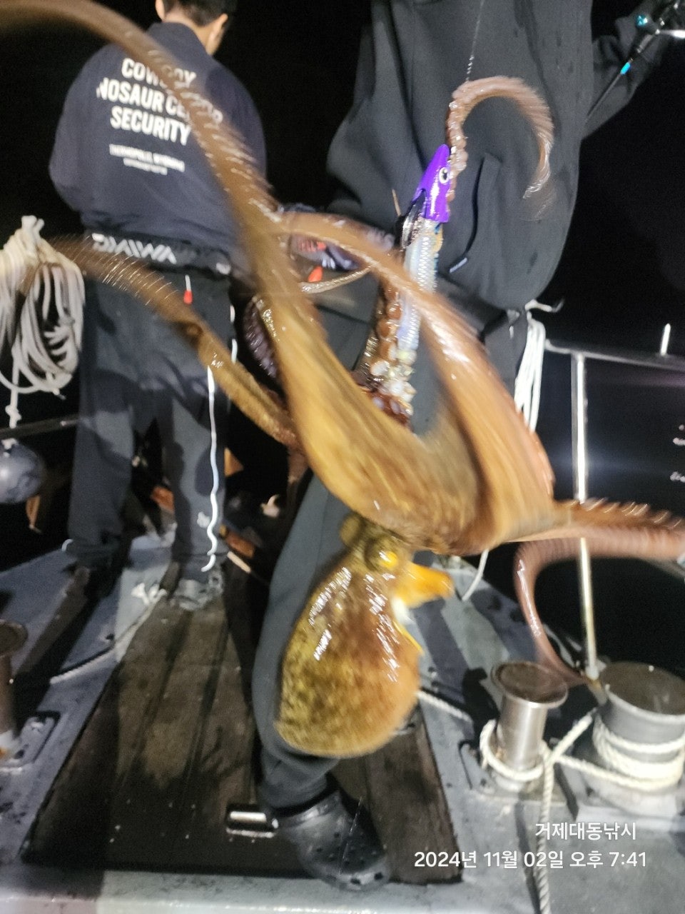 사용자가 올린 이미지