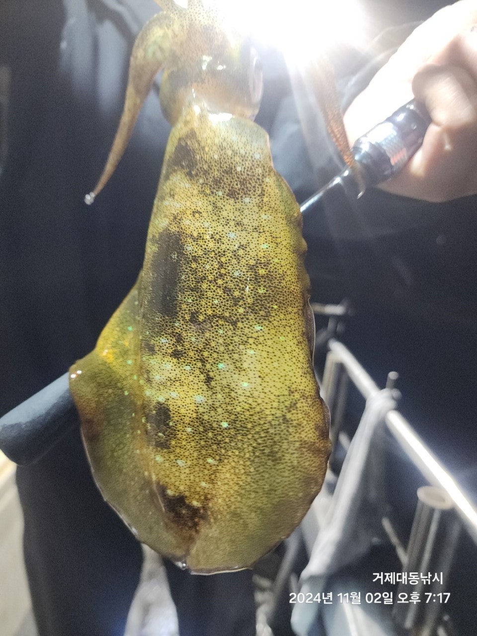 사용자가 올린 이미지