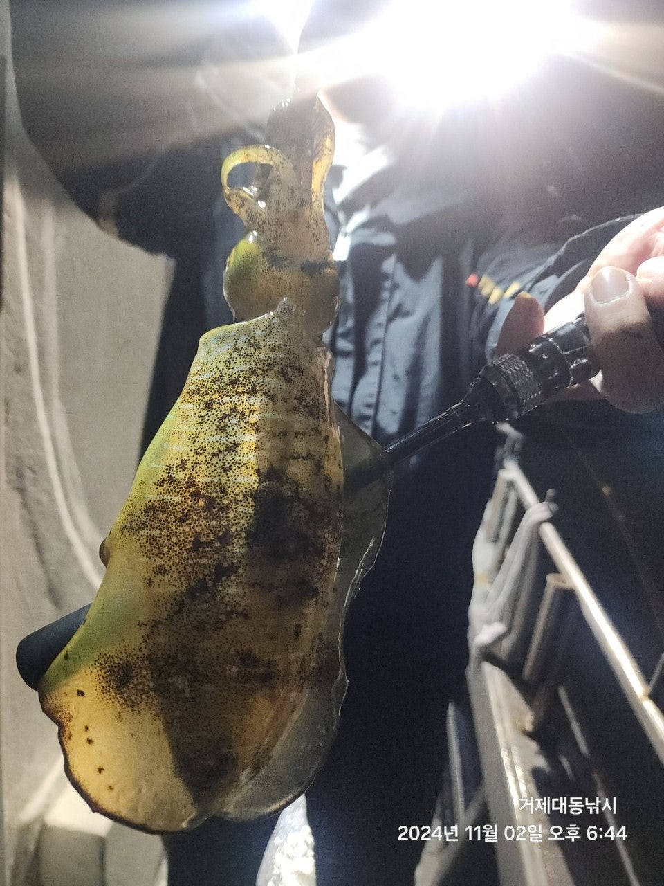 사용자가 올린 이미지