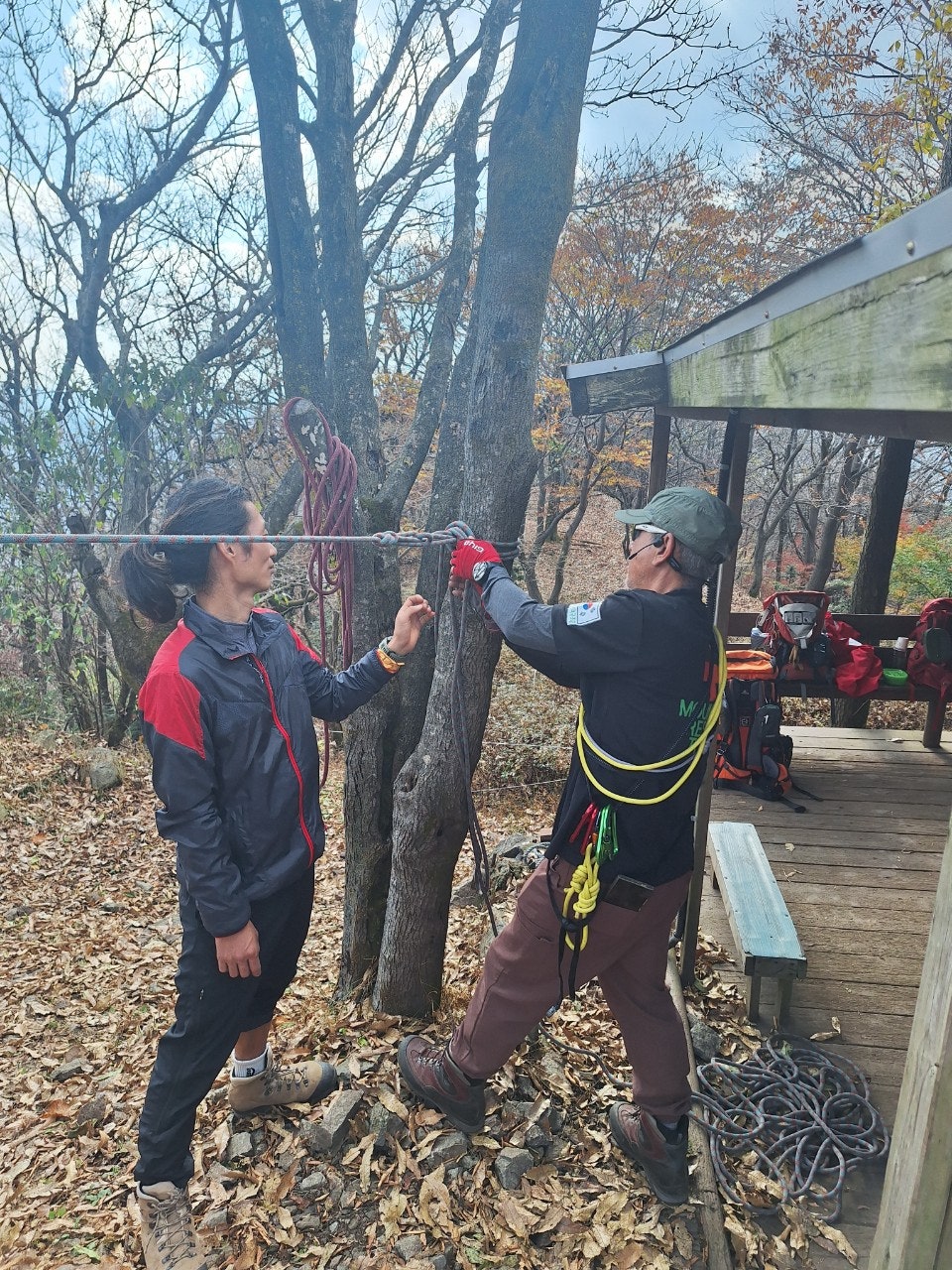 사용자가 올린 이미지