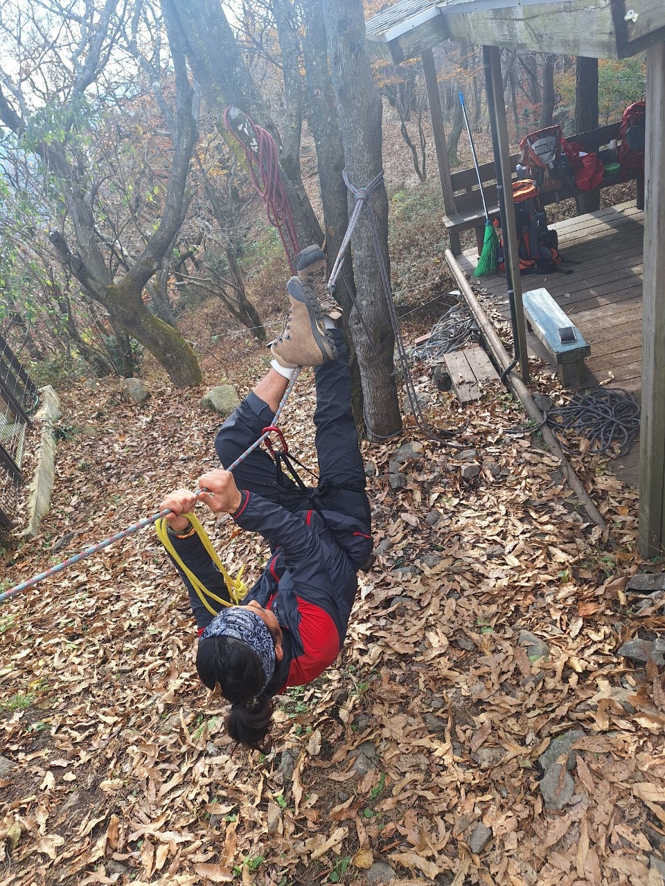 사용자가 올린 이미지