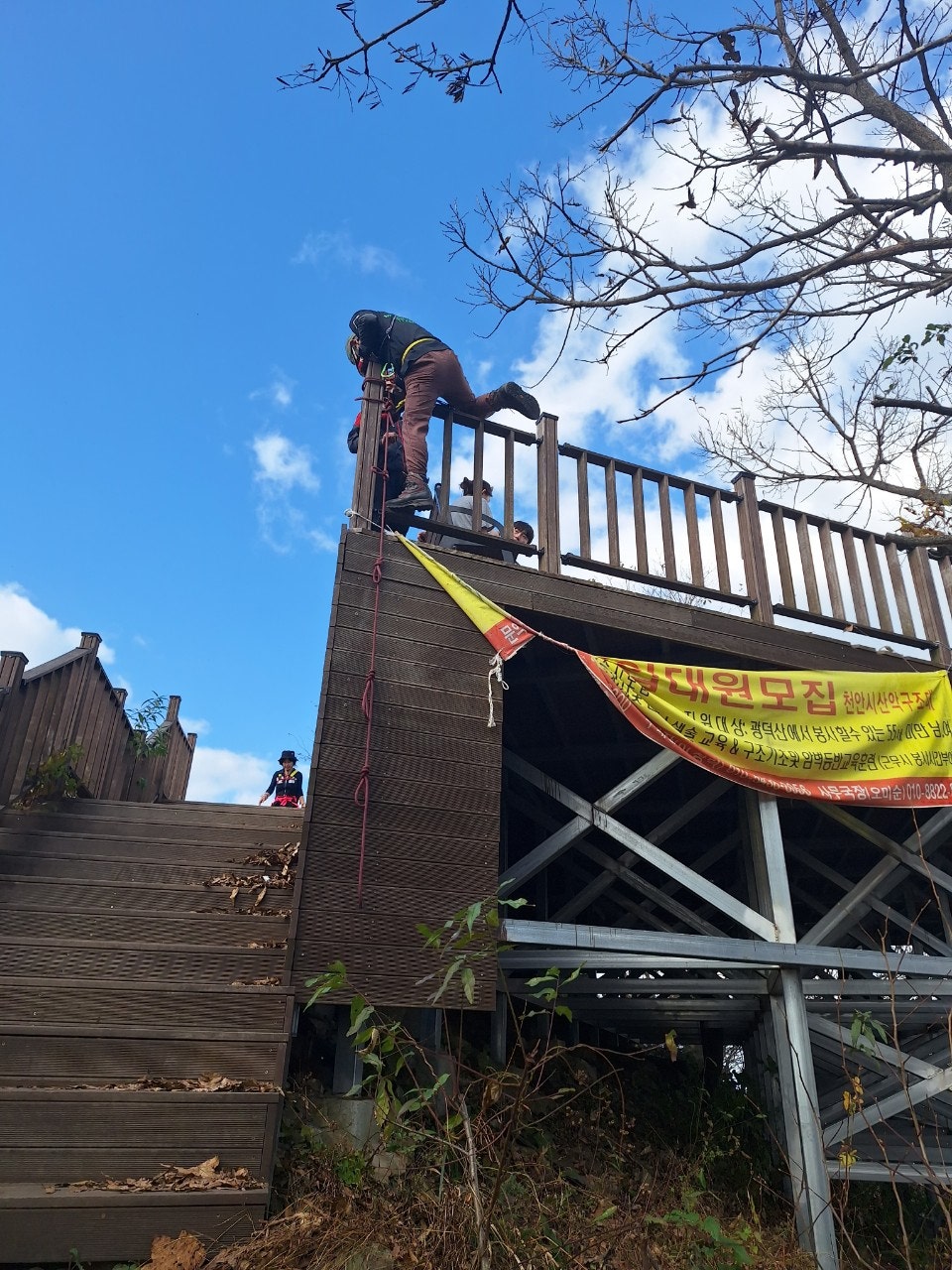 사용자가 올린 이미지