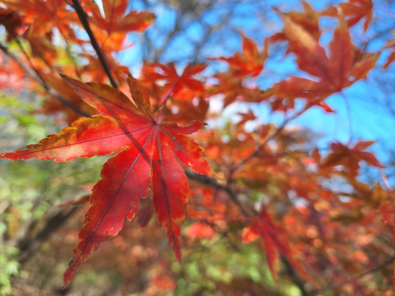 사용자가 올린 이미지