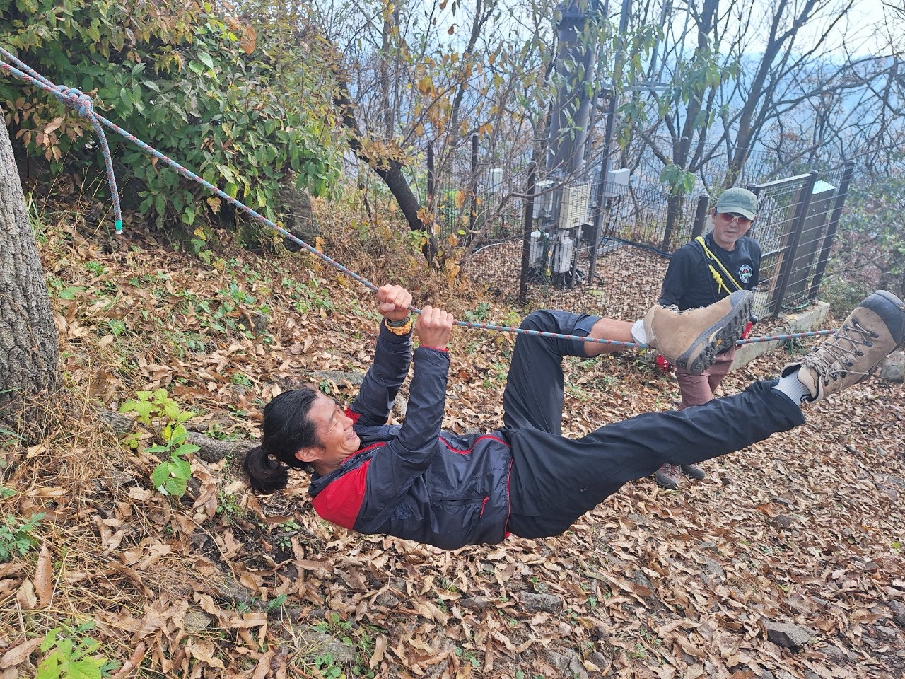 사용자가 올린 이미지