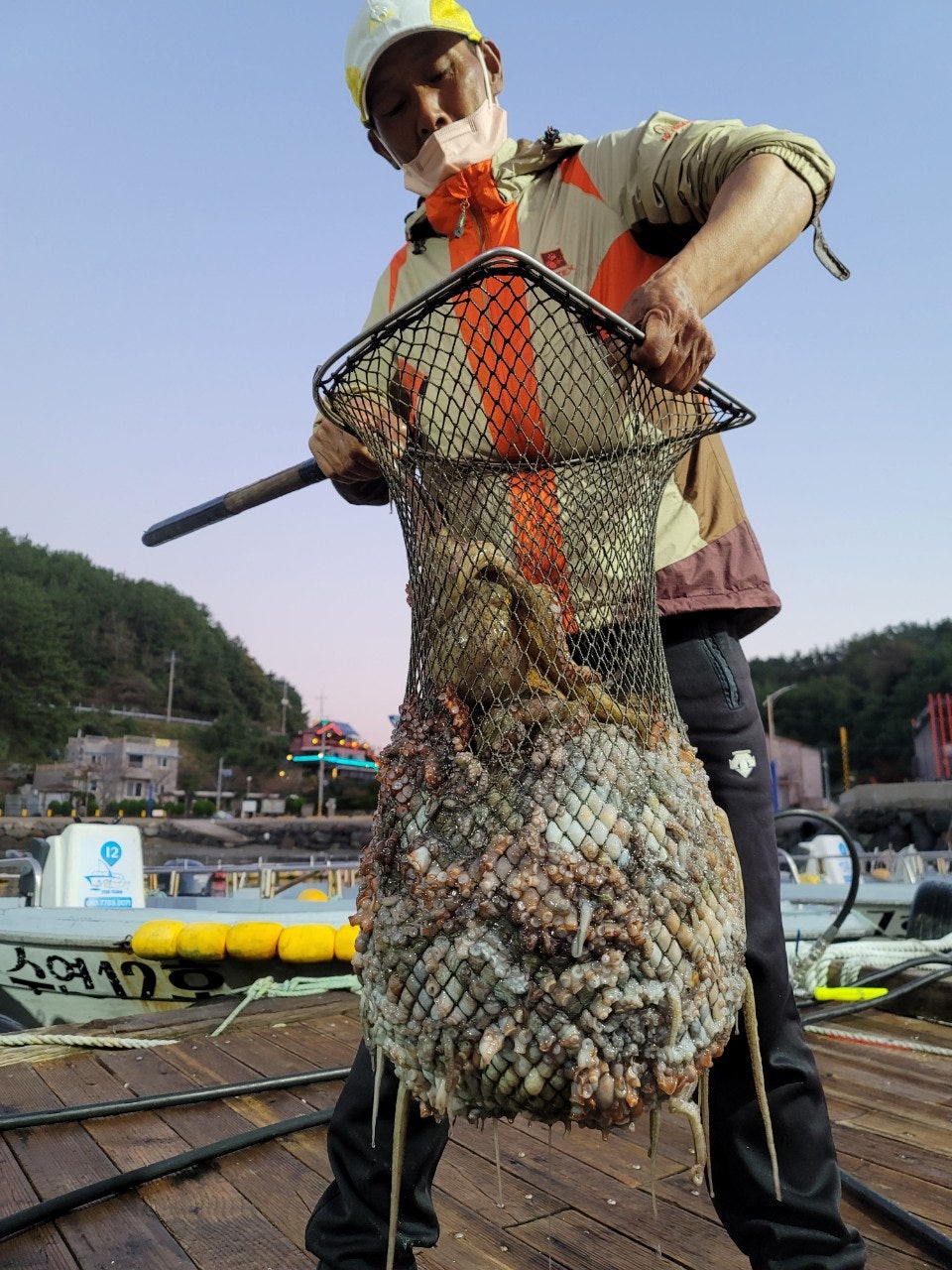 사용자가 올린 이미지