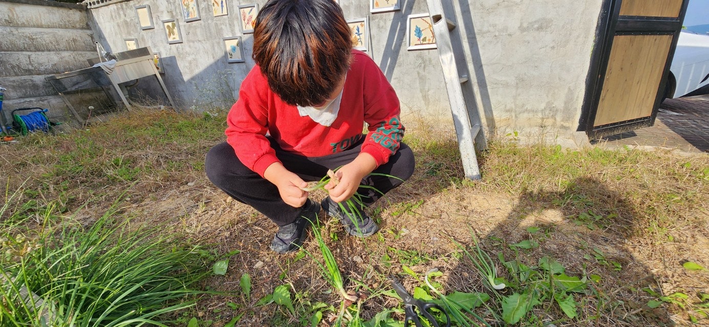 사용자가 올린 이미지