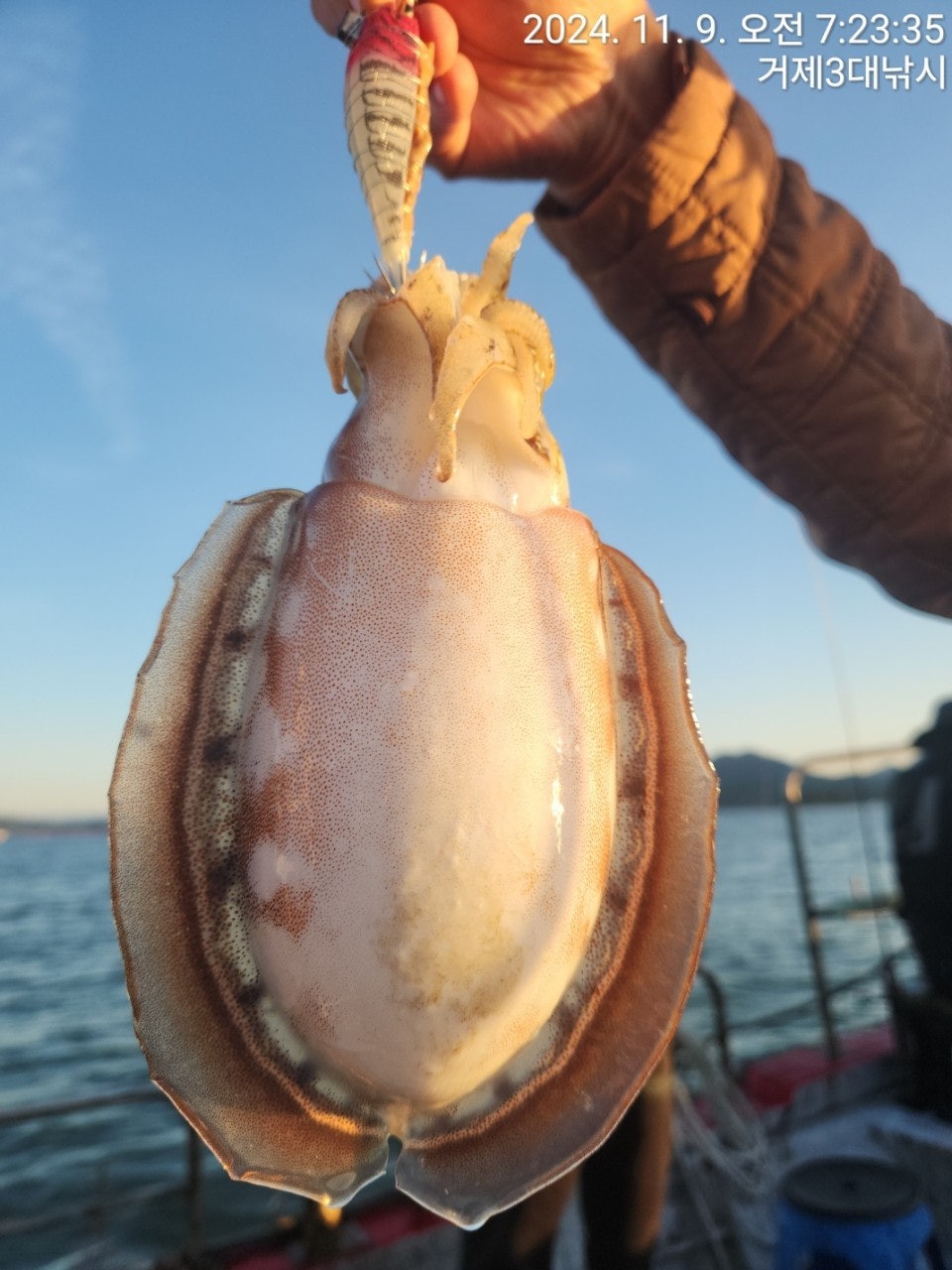 사용자가 올린 이미지