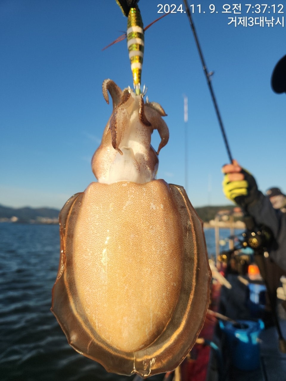 사용자가 올린 이미지