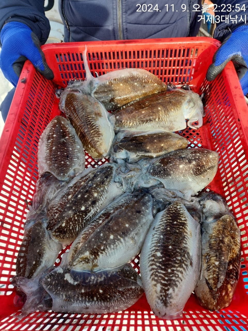 사용자가 올린 이미지