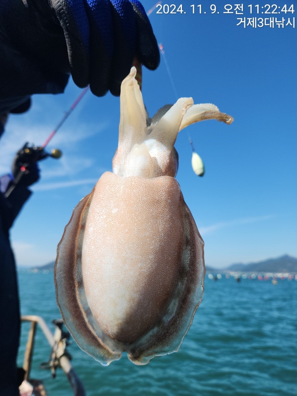 사용자가 올린 이미지