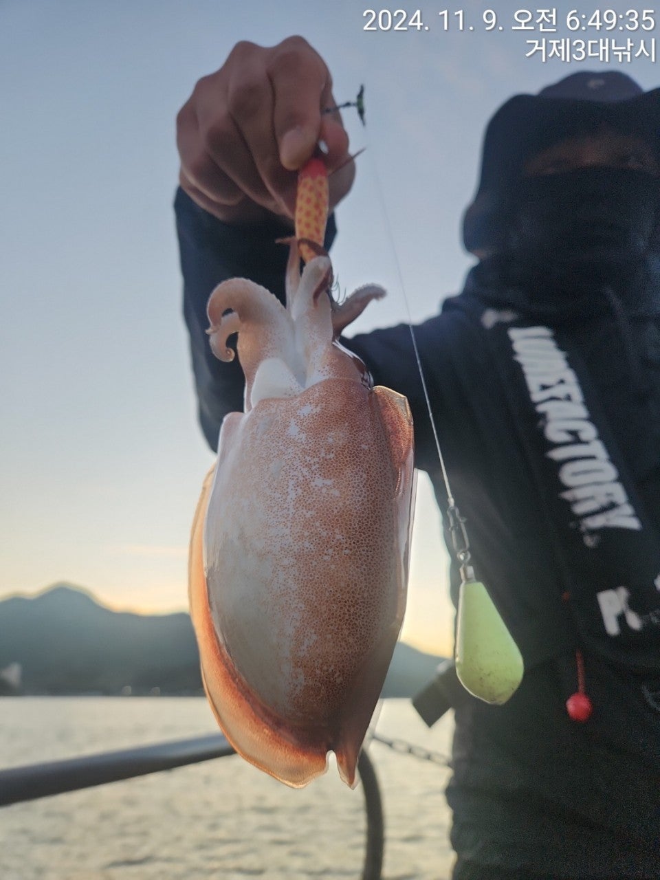 사용자가 올린 이미지