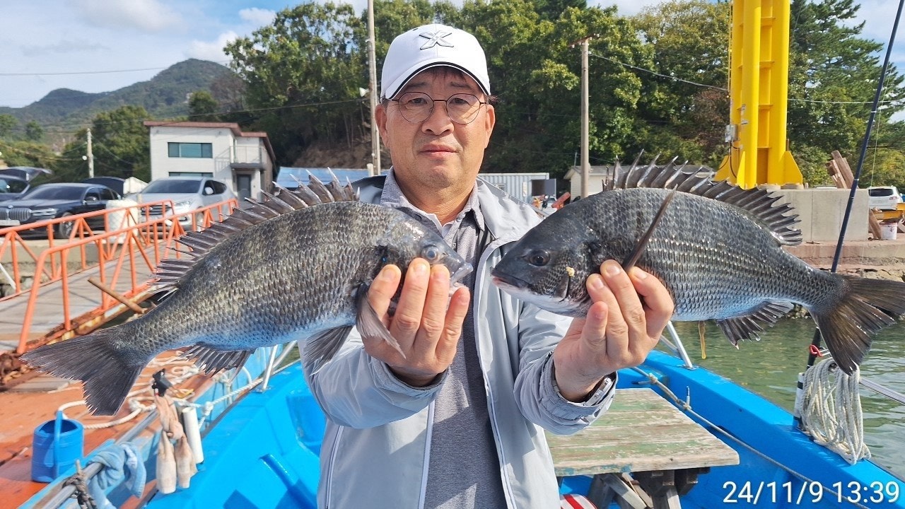 사용자가 올린 이미지