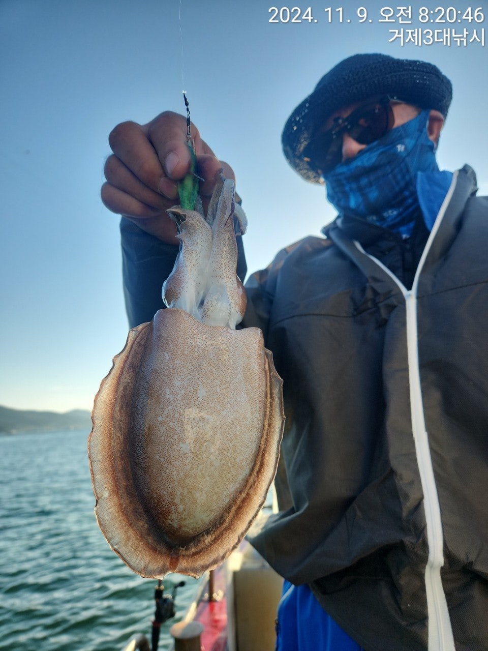 사용자가 올린 이미지