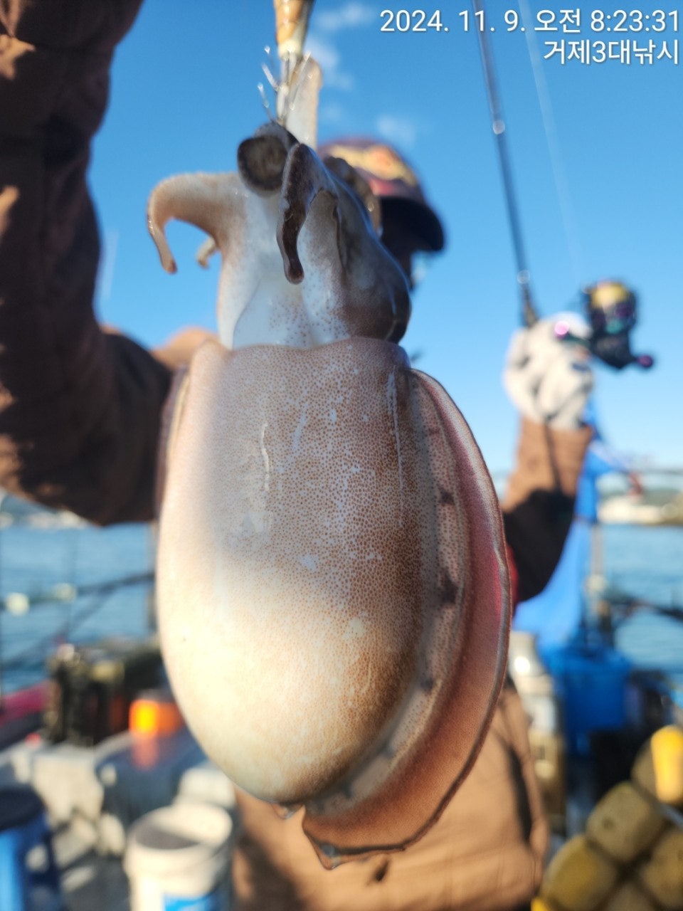 사용자가 올린 이미지