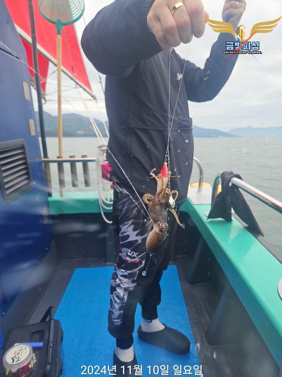 사용자가 올린 이미지