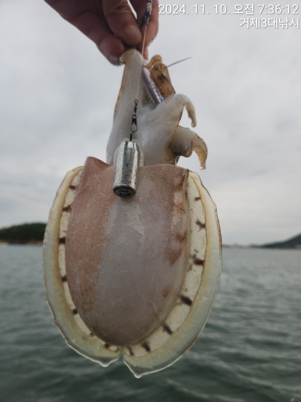 사용자가 올린 이미지