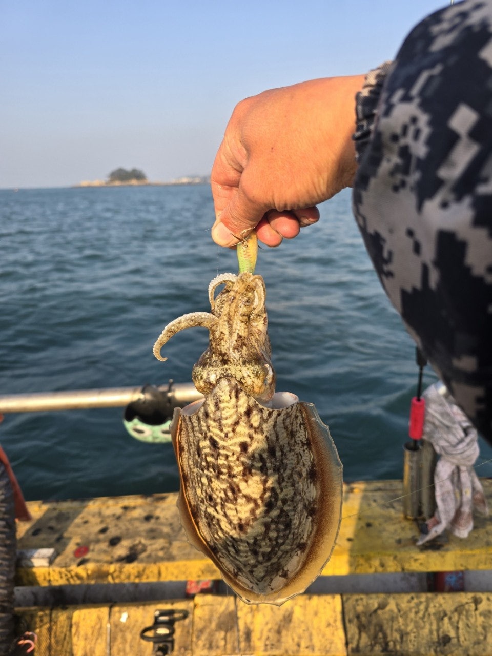 사용자가 올린 이미지