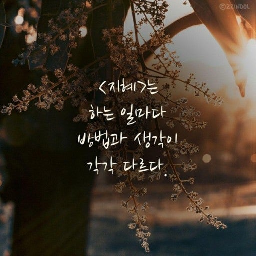 사용자가 올린 이미지