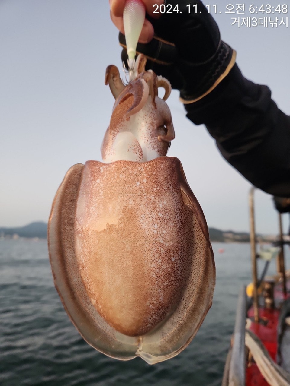 사용자가 올린 이미지
