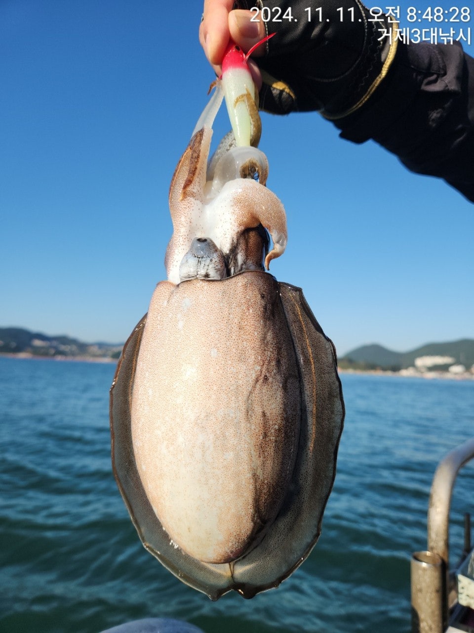 사용자가 올린 이미지
