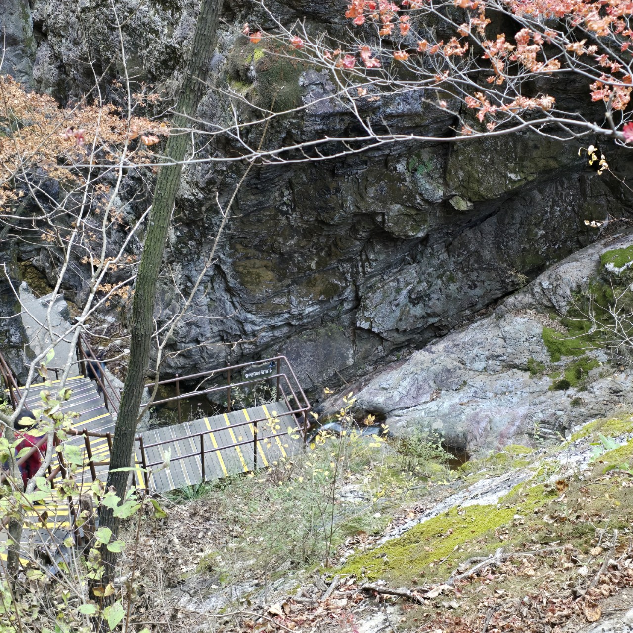 band images