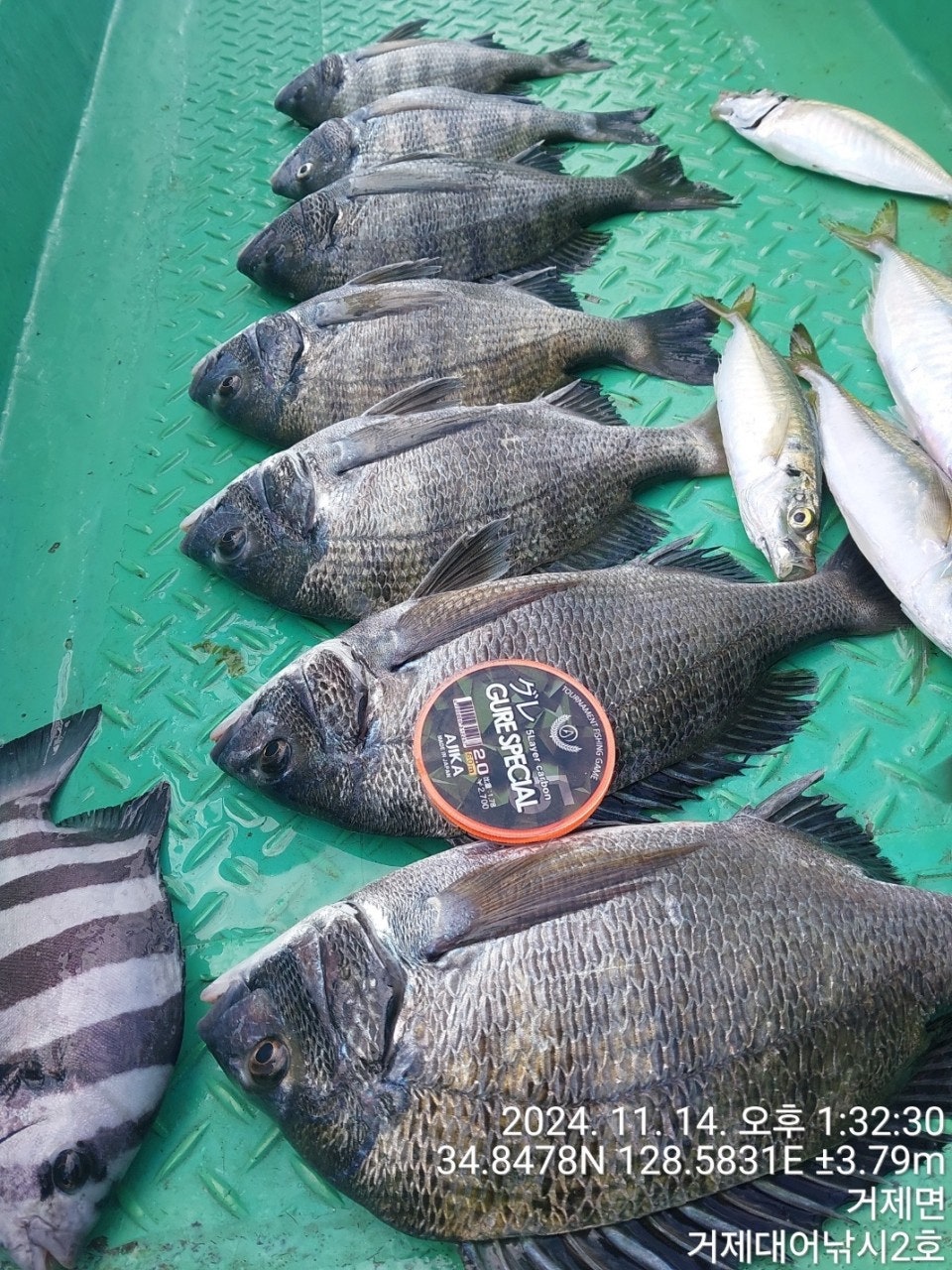 사용자가 올린 이미지