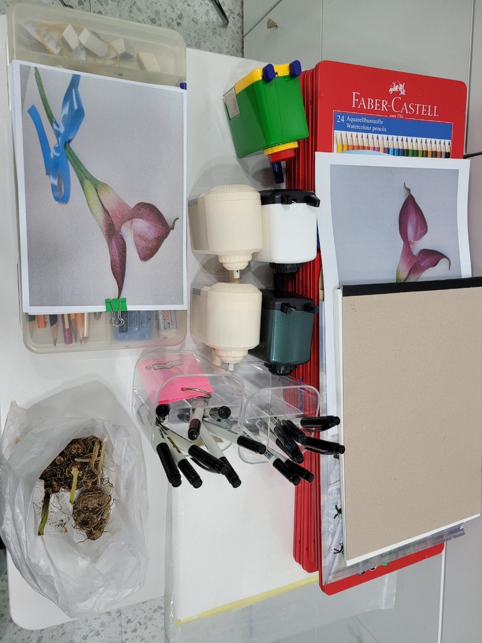 사용자가 올린 이미지