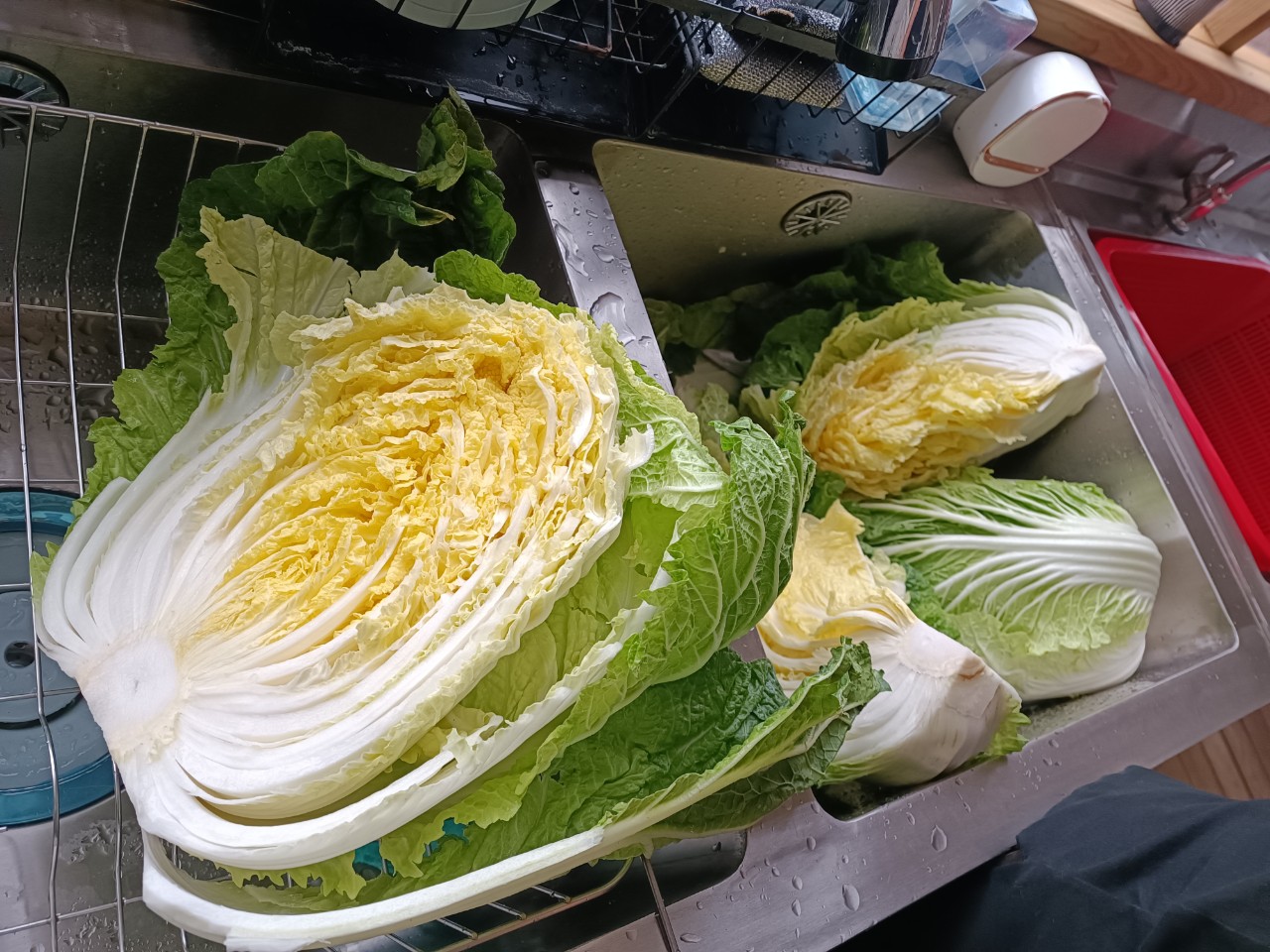 band images