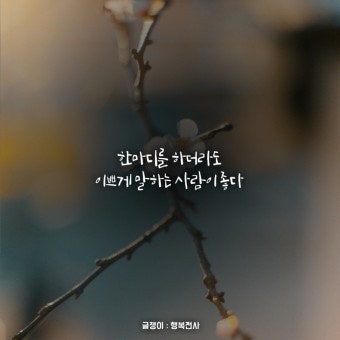 사용자가 올린 이미지