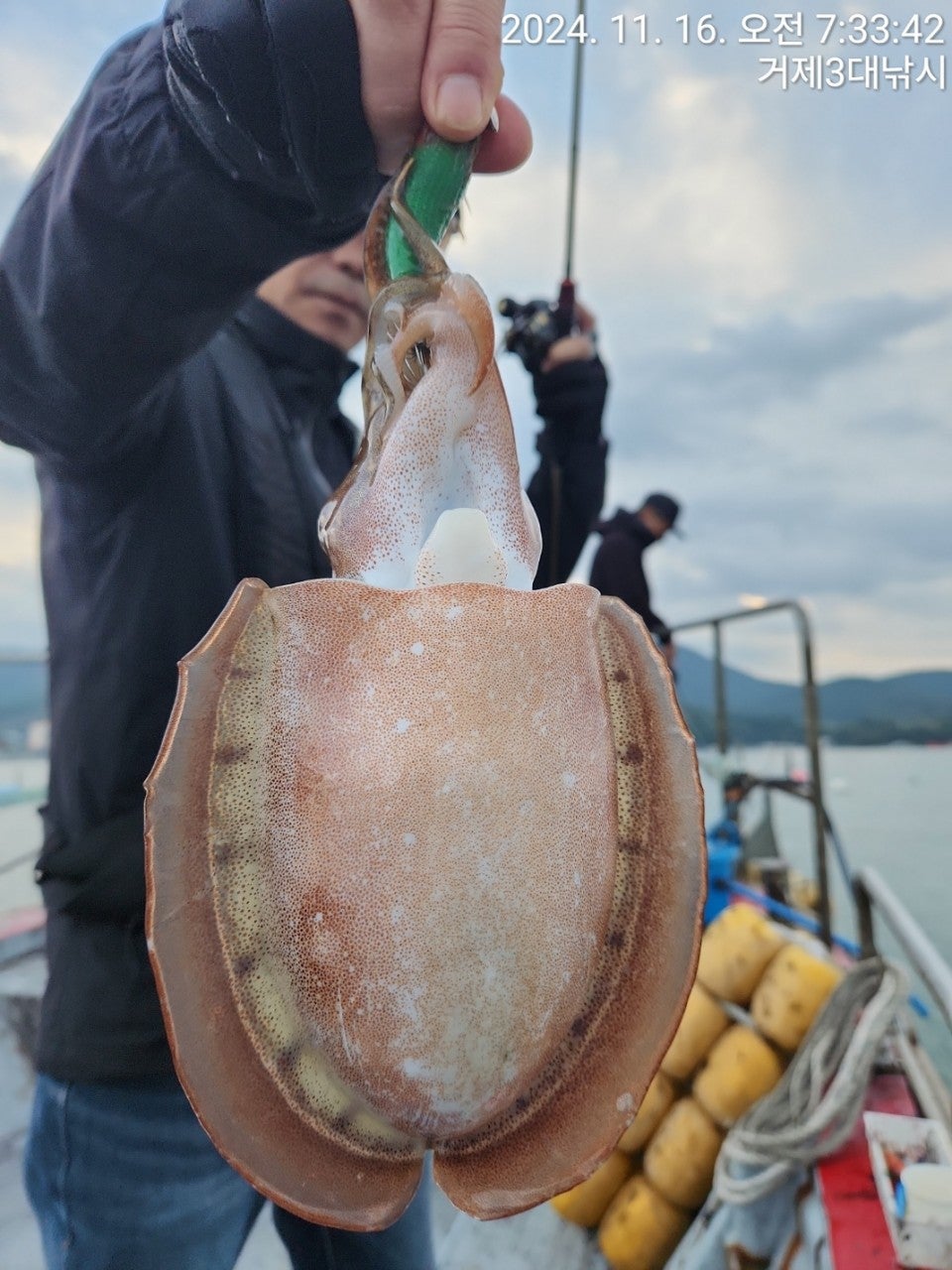 사용자가 올린 이미지