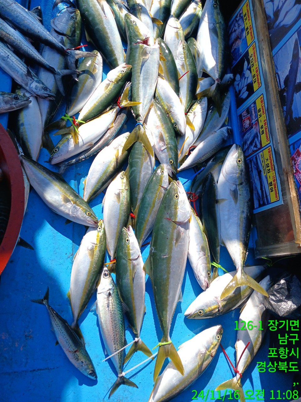 c_043Ud018svc15lu4xhigxfs8_9bt2m0.jpg