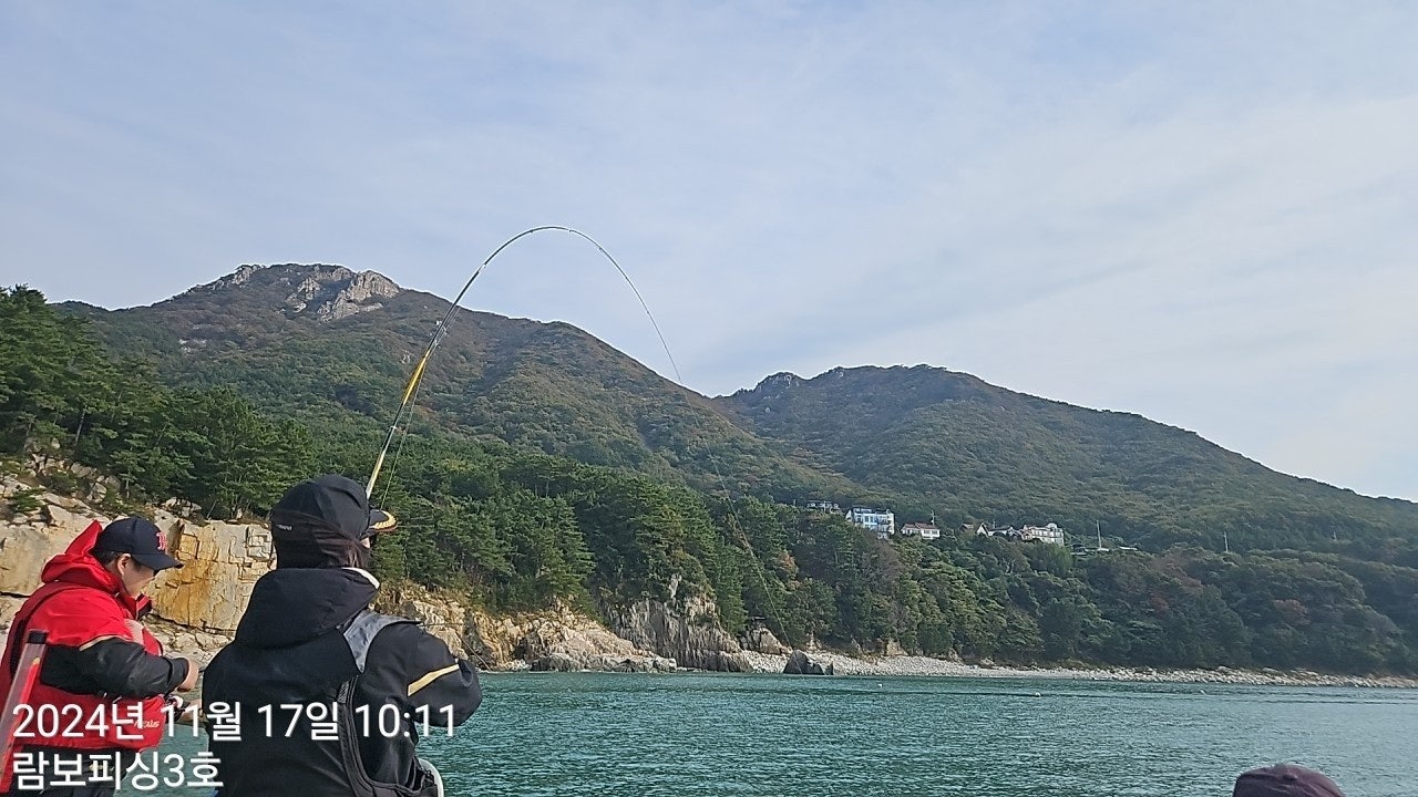 사용자가 올린 이미지