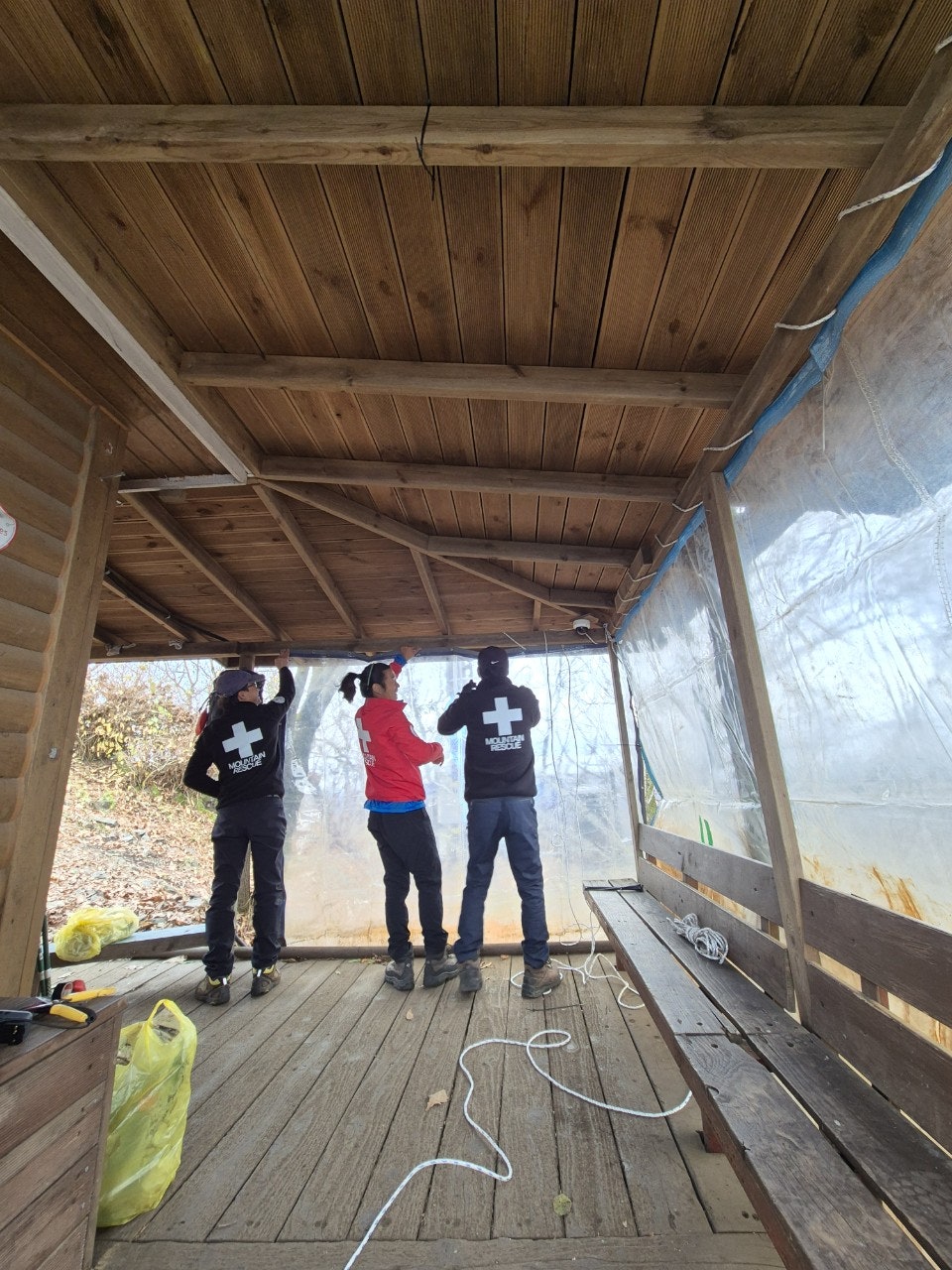 사용자가 올린 이미지