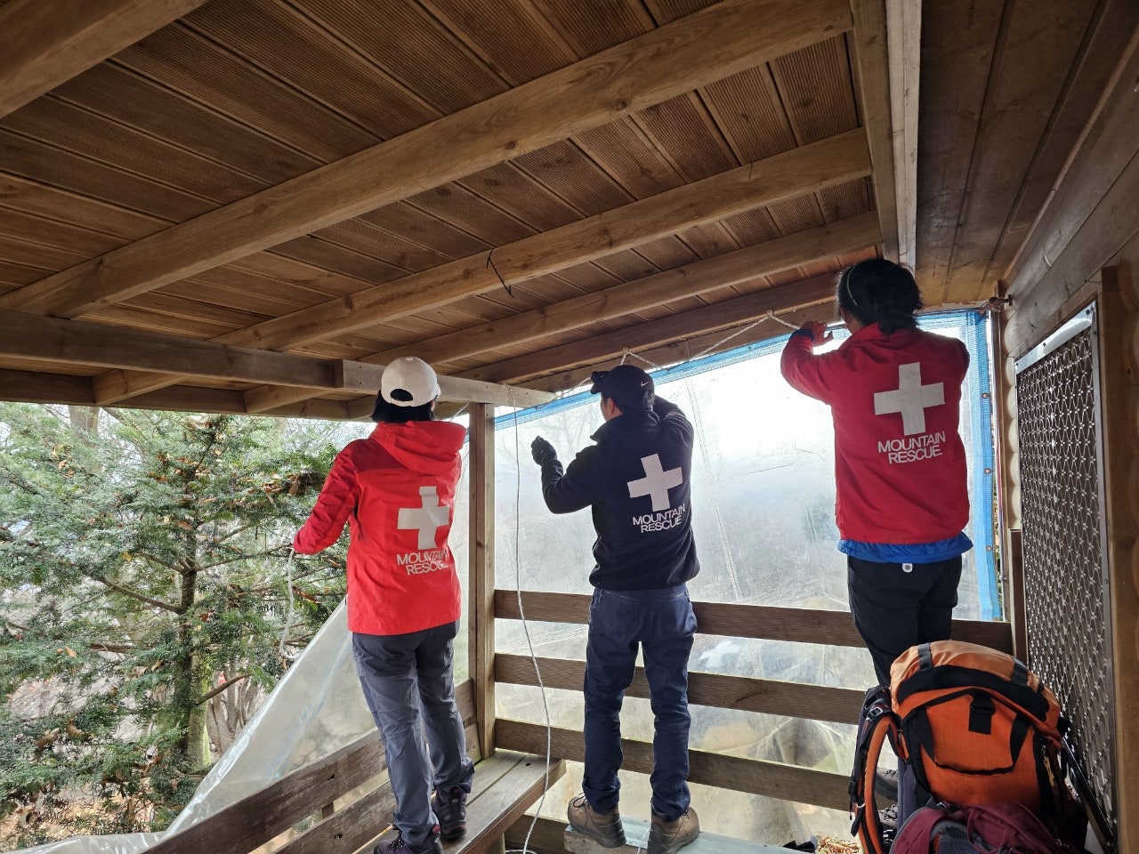 사용자가 올린 이미지