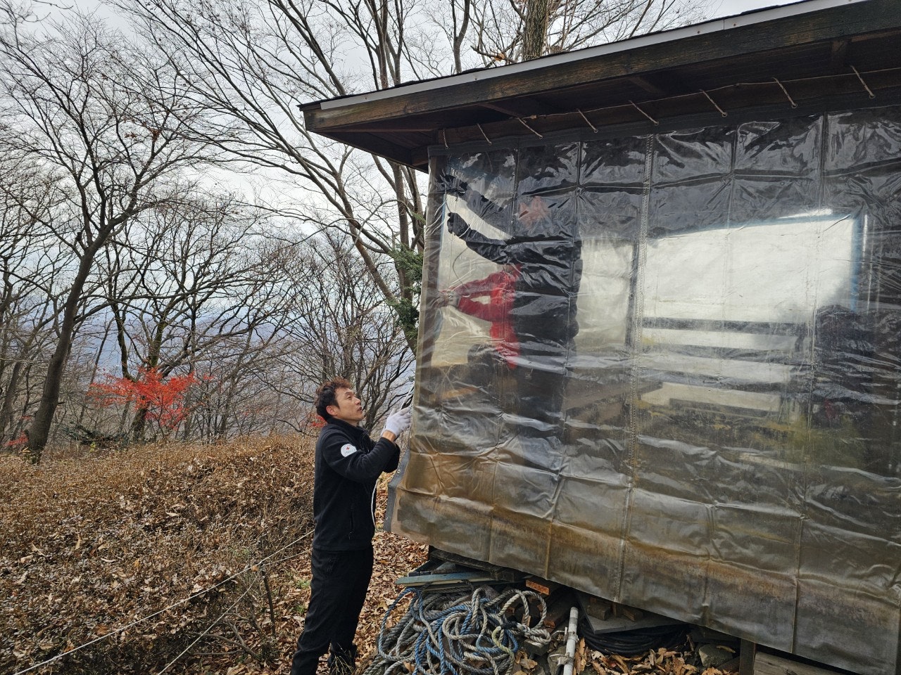 사용자가 올린 이미지