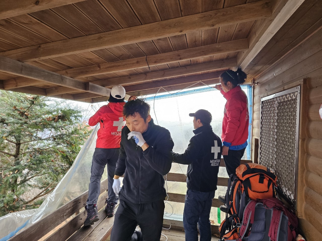 사용자가 올린 이미지