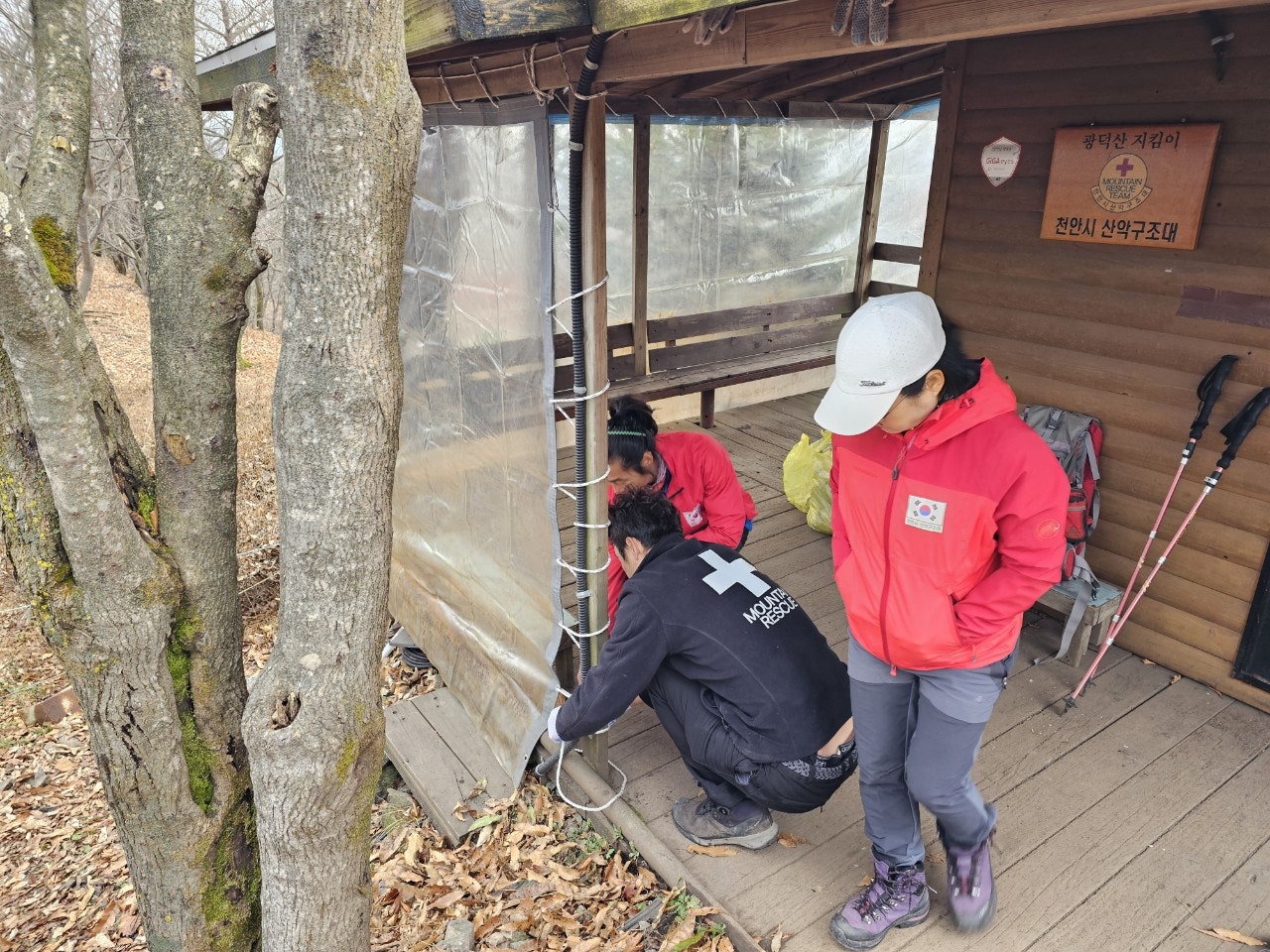 사용자가 올린 이미지