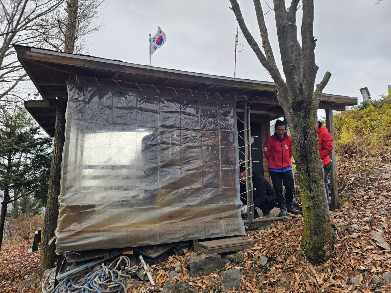 사용자가 올린 이미지