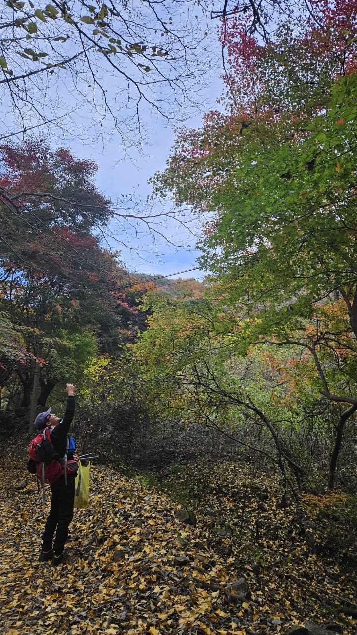 사용자가 올린 이미지