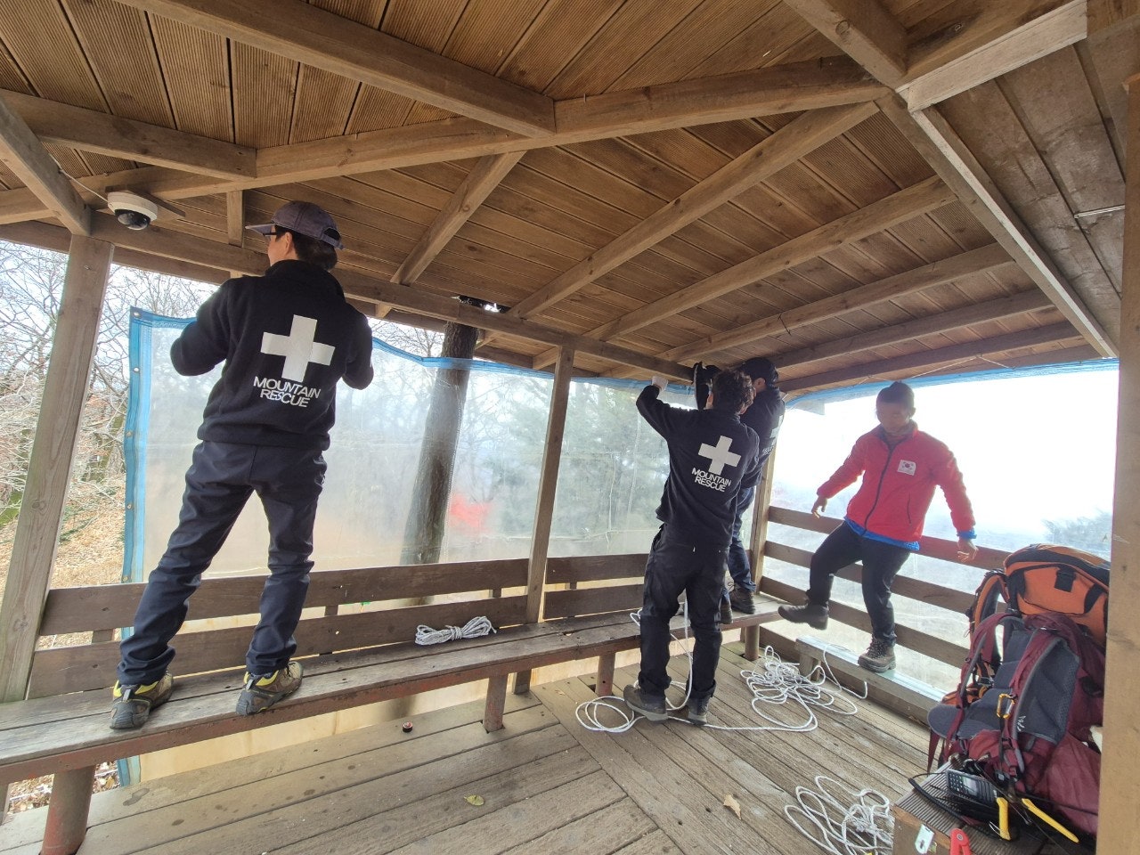 사용자가 올린 이미지