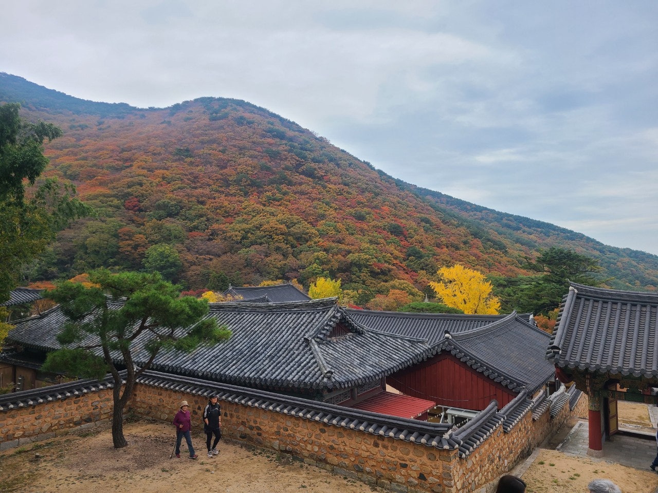 사용자가 올린 이미지