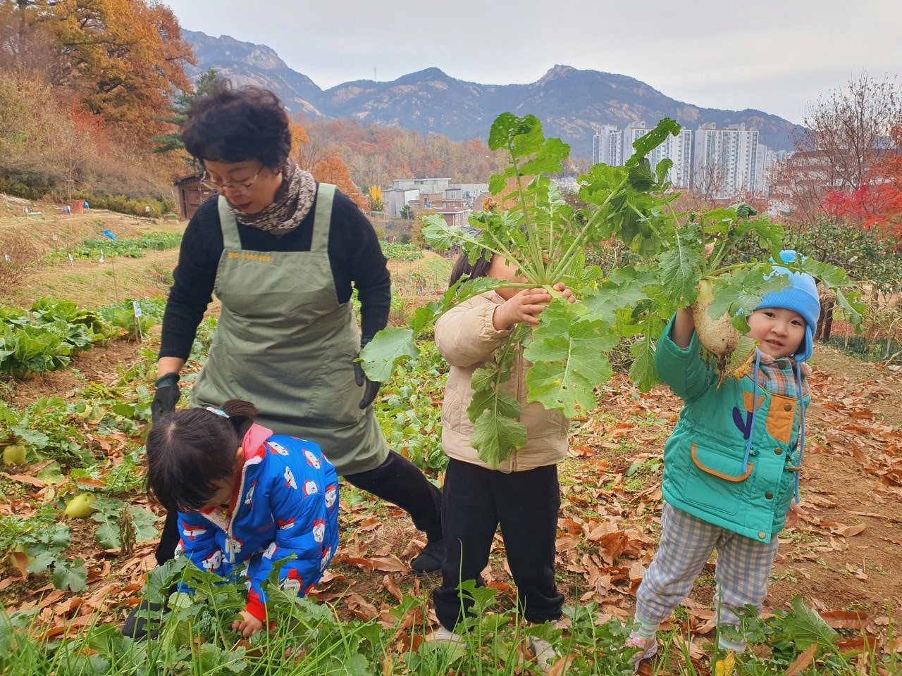사용자가 올린 이미지